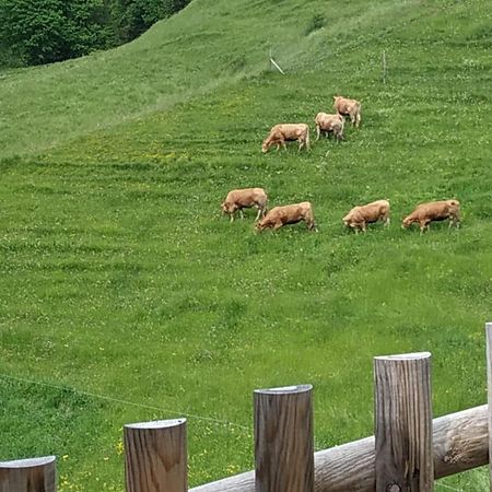 Albergo Diffuso Sauris in Sauris di Sotto Bagian luar foto